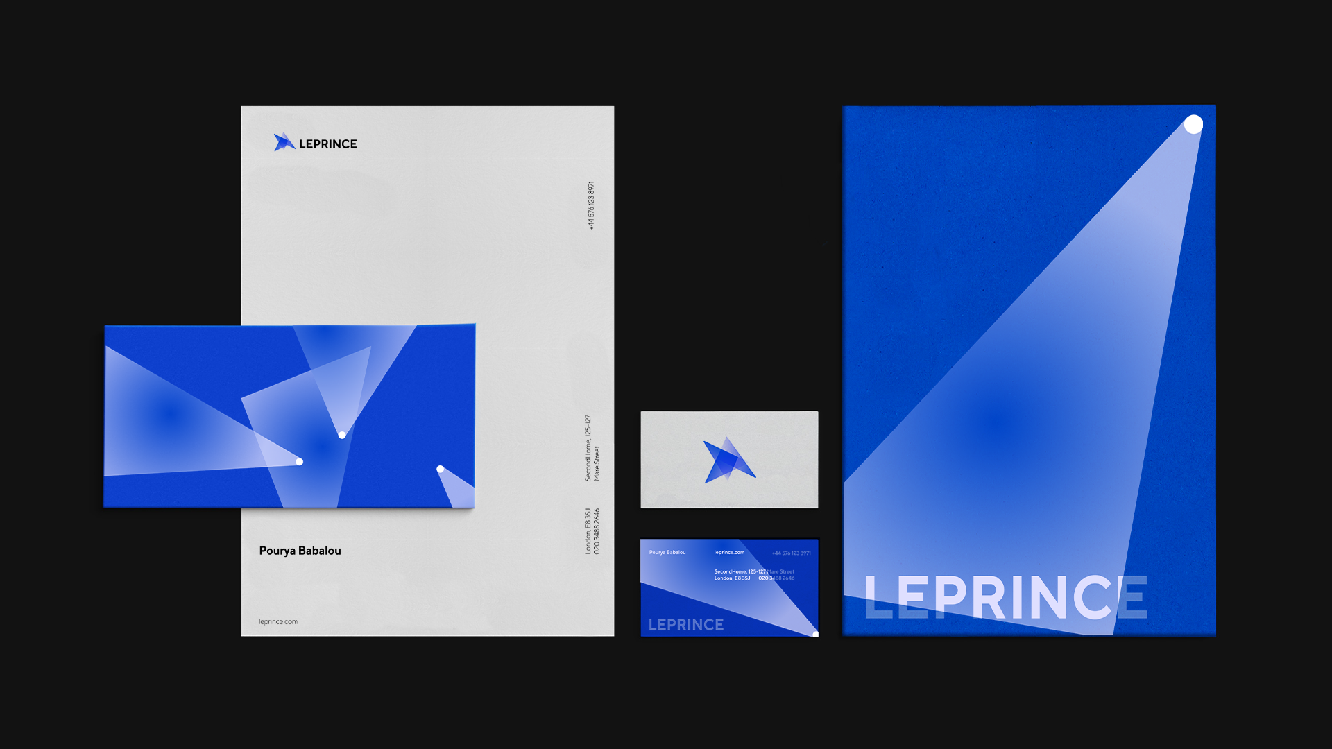 visual-leprince